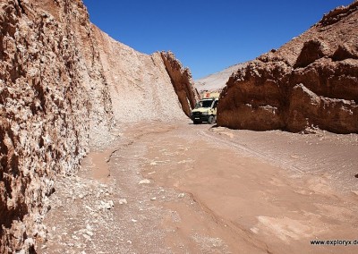 Exploryx Impala in der Atacama