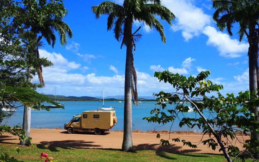 Milou in Australien