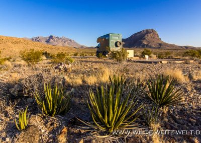 Camp Chilicotal, Big Bend National Park, Texas